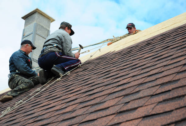 Best Roof Leak Repair  in Volga, SD