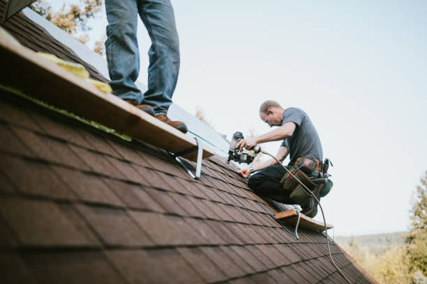 Best Roof Gutter Cleaning  in Volga, SD