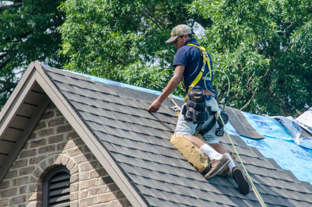 Best Roof Waterproofing Services  in Volga, SD